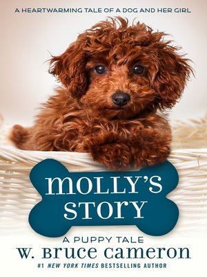 cover image of Molly's Story